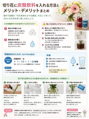 日式鲜花碳酸饮料保鲜信息图