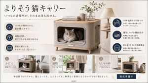 日式猫咪航空箱产品广告