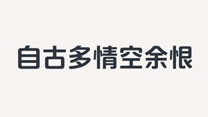 人文主义无衬线字体设计