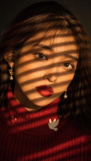 Golden Blinds Portrait