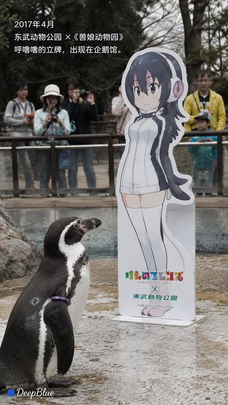 Grape-kun Documentary Photo Series