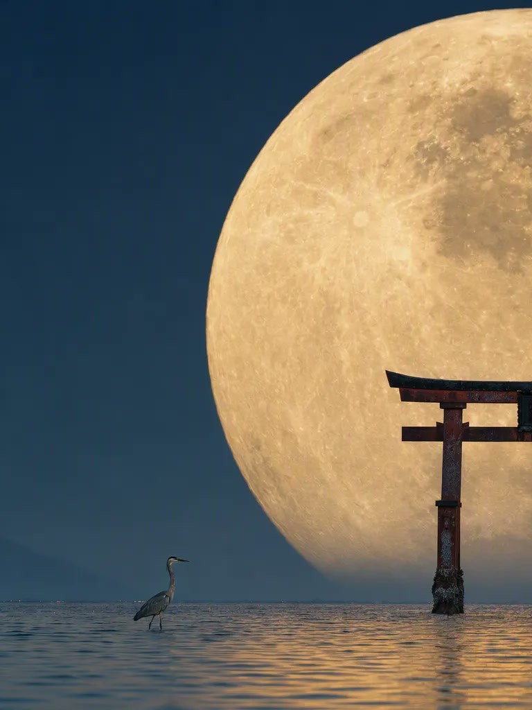 Giant Moon and Torii Telephoto