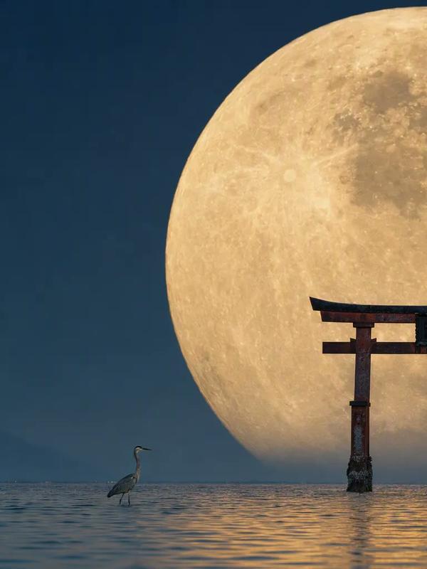 Giant Moon and Torii Telephoto