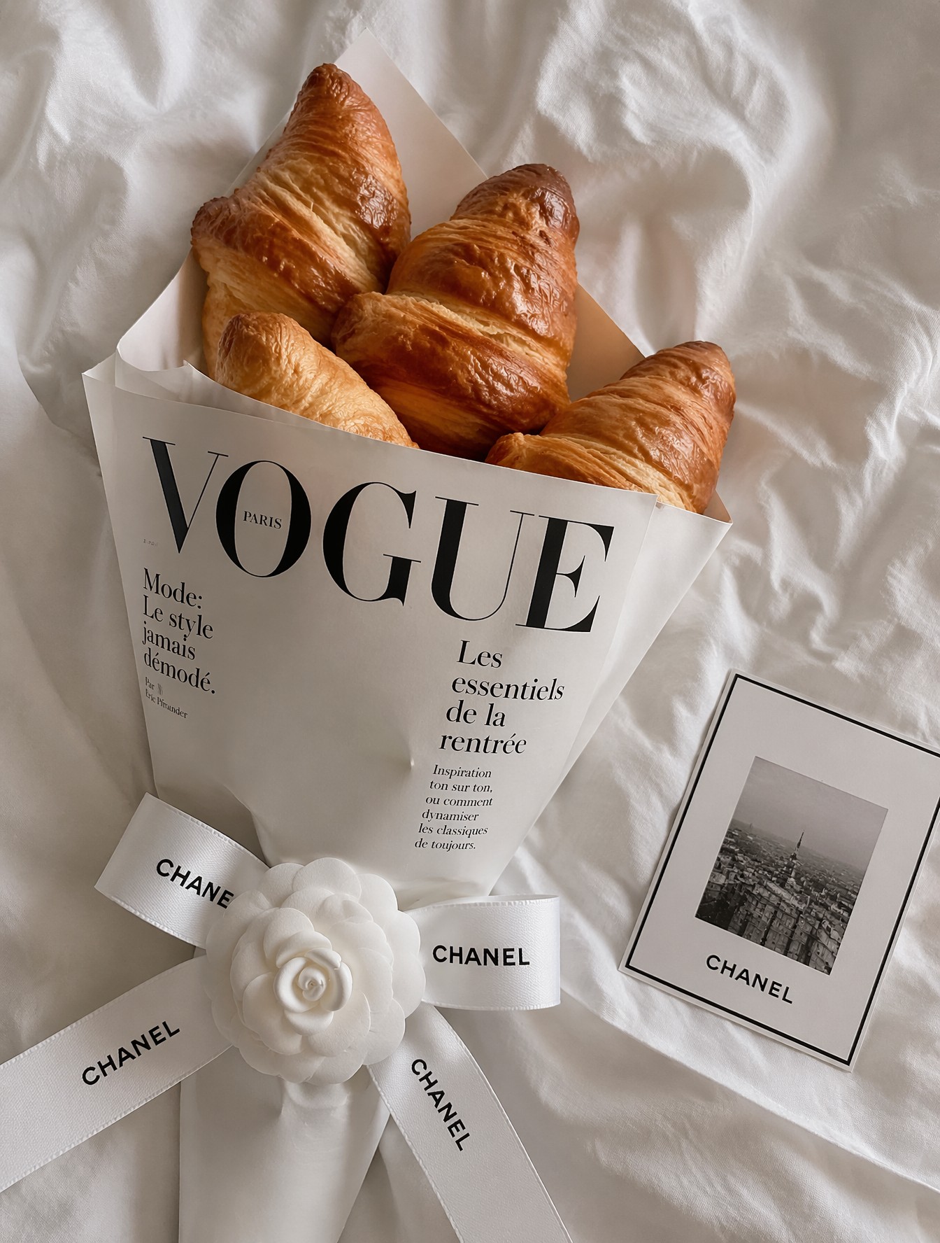Brand Visual Concept