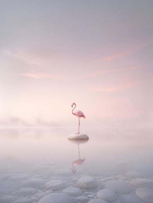 Creative Visual Artwork