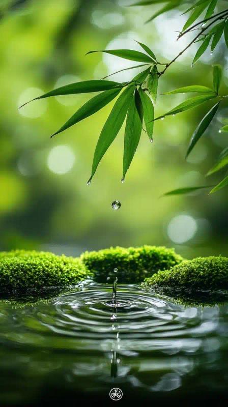 Realistic Bamboo by Waterhole