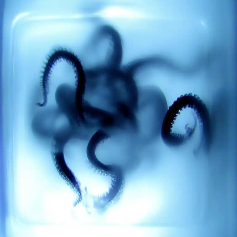 Tentacles Breaking Glass Horror