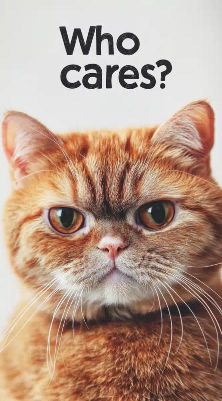 Grumpy Cat with Text